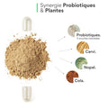 Probiotique minceur. 
