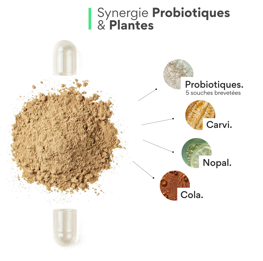 Probiotique minceur. 