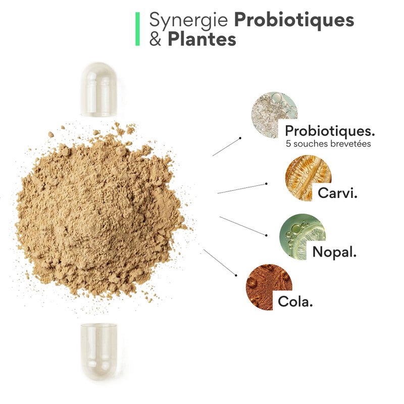 Probiotique minceur. 