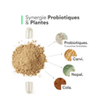 Probiotique minceur. 